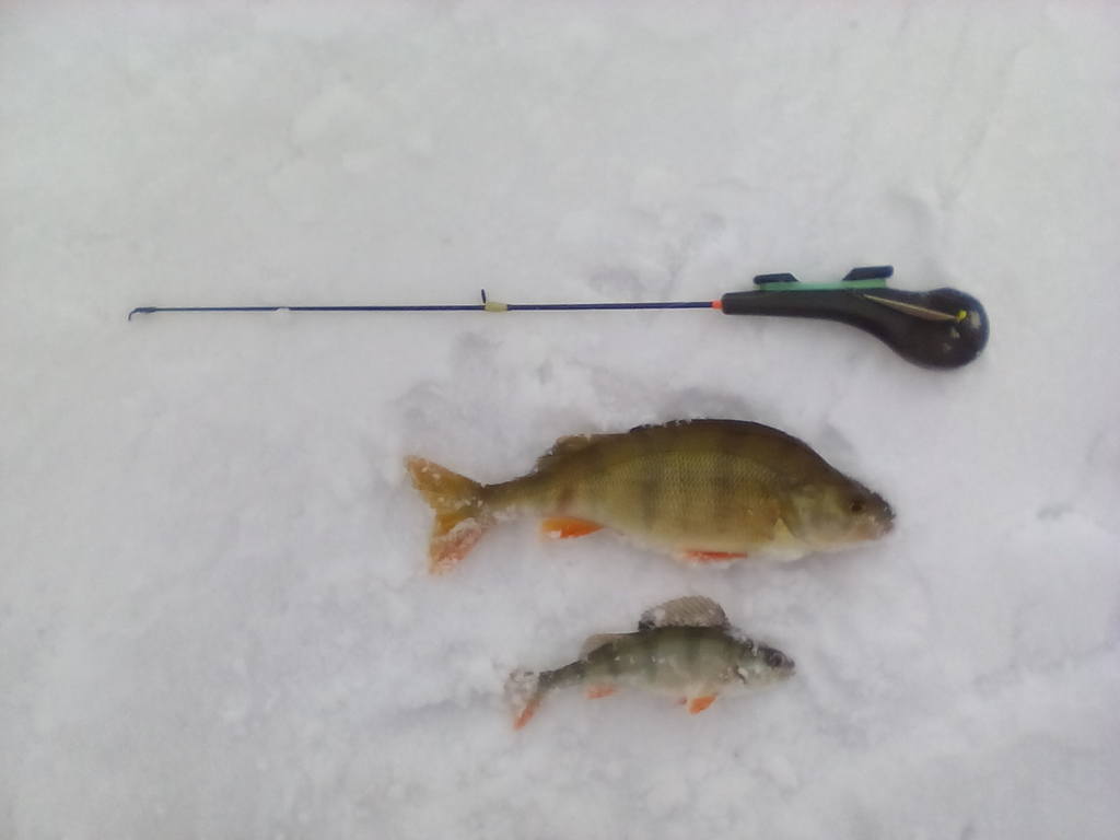 большой и малый