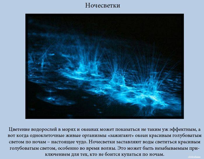 VFL.RU -  