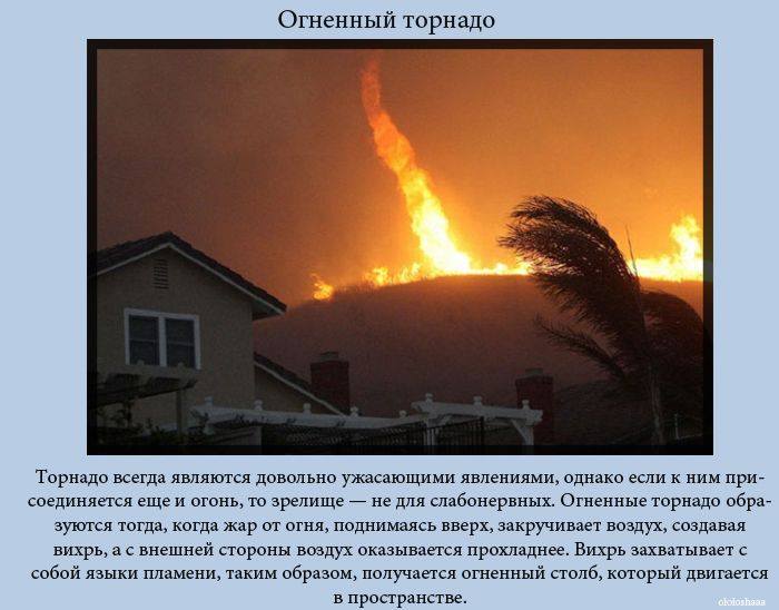 VFL.RU -  