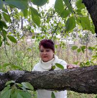 VFL.RU - ваш фотохостинг