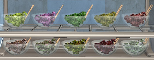 Salad-bowl-9-recols