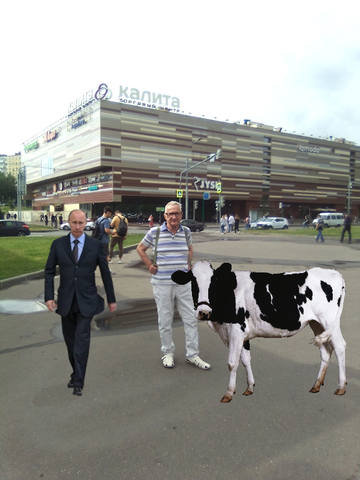 VFL.RU - ваш фотохостинг