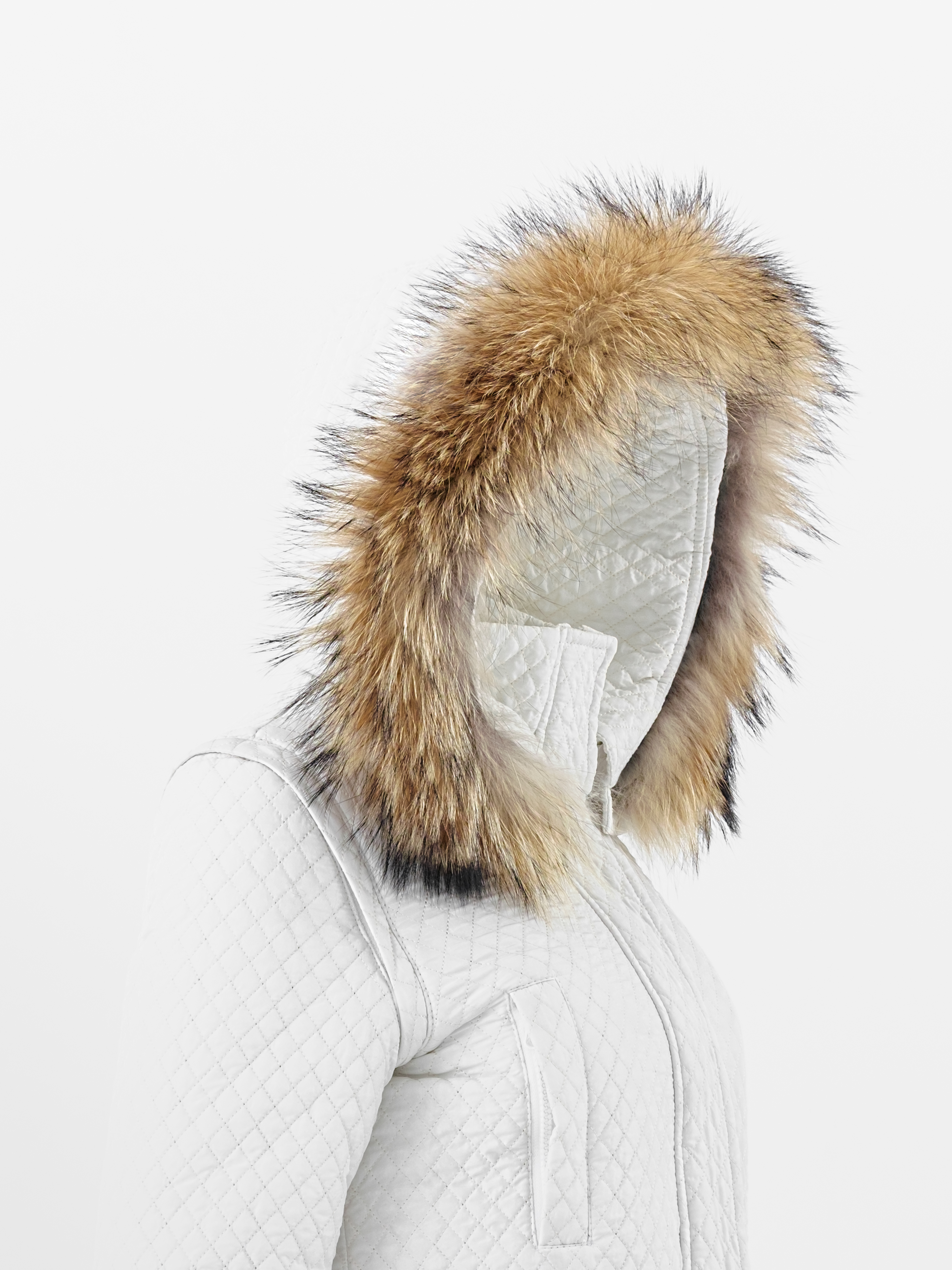 ��.��.3�64.��. (3)