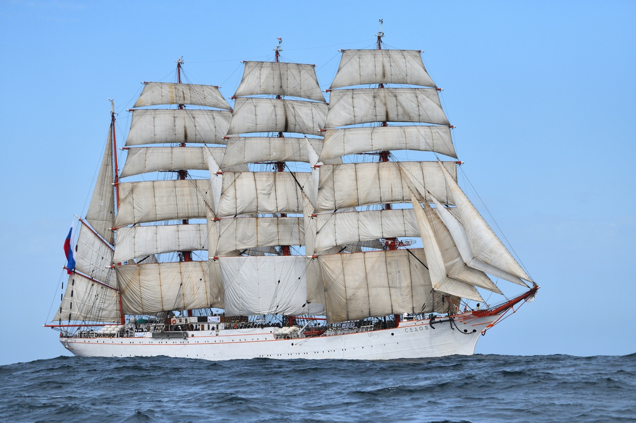 sedov-4