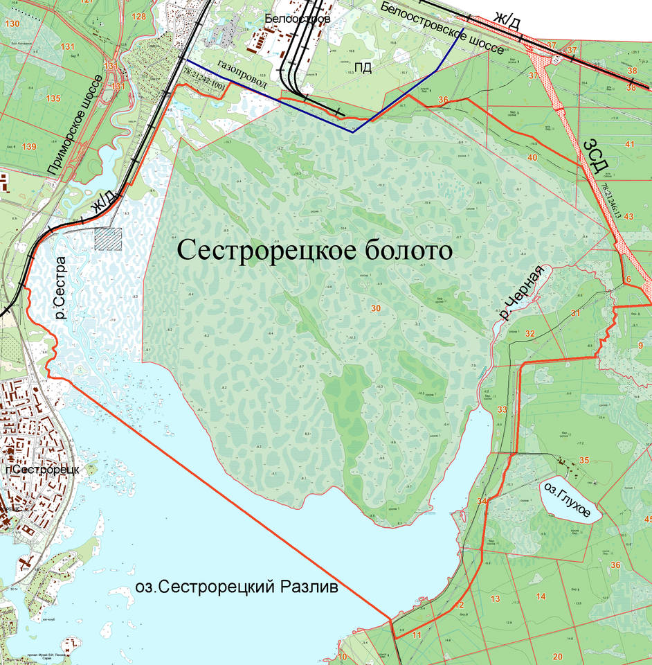 Sestroretskoe bog