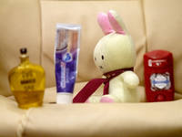 VFL.RU - ваш фотохостинг