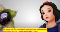 Захват-2
