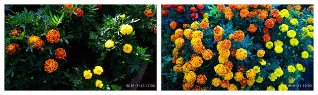MyCollages