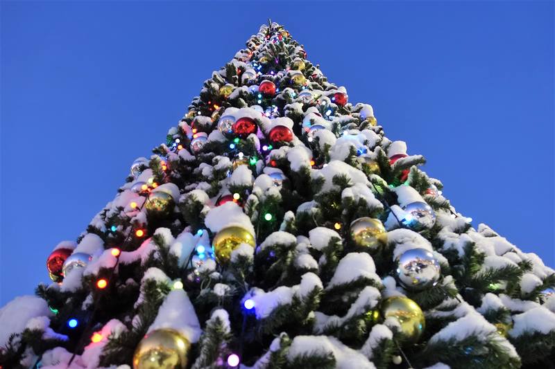 Вечерний Петербург