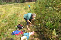 VFL.RU - ваш фотохостинг