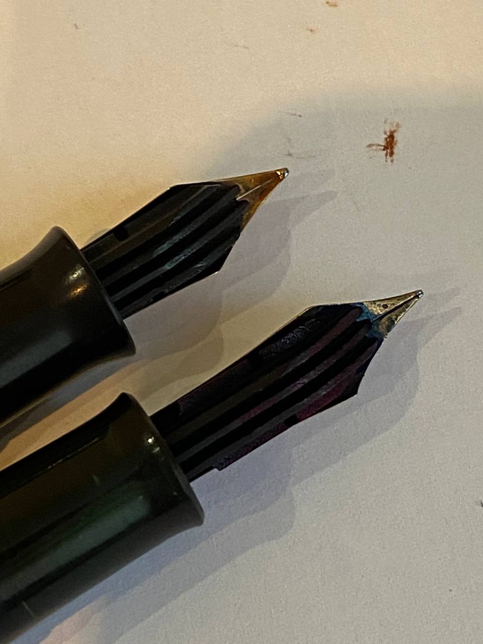 Pelikan4