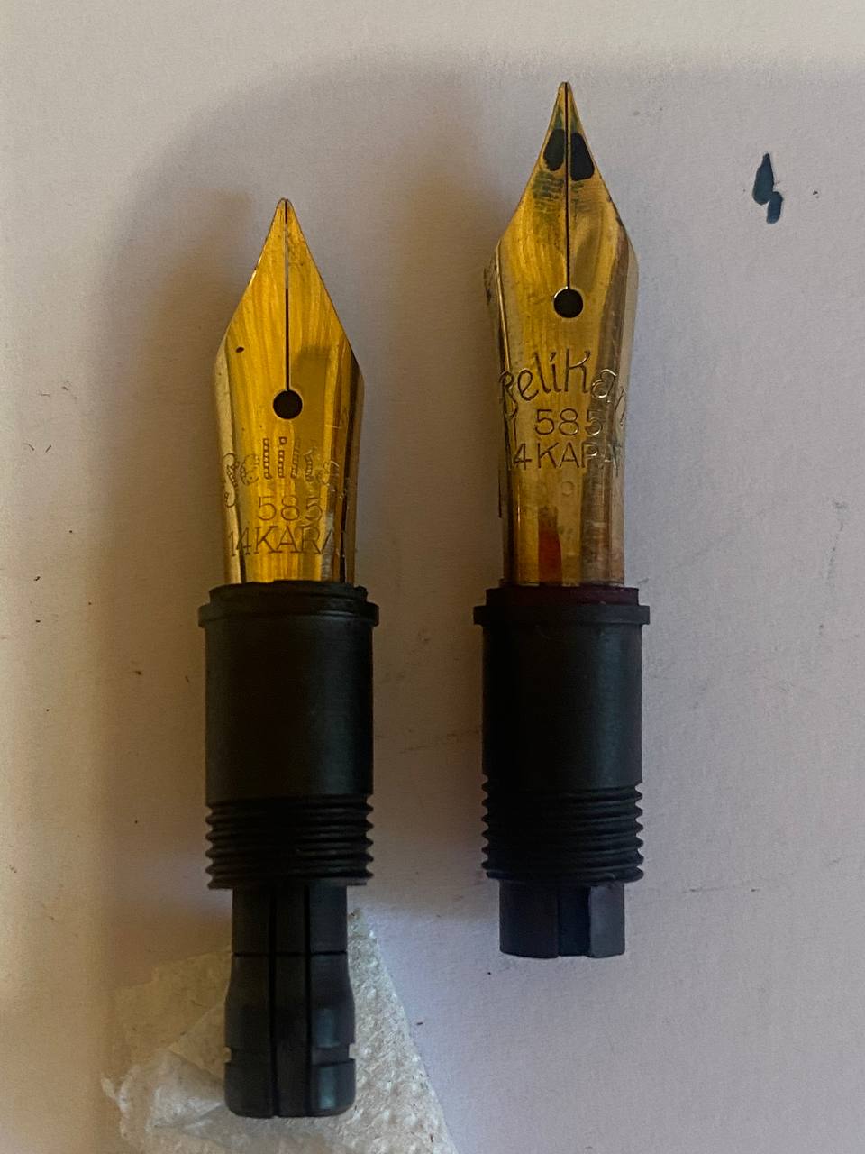 pelikan5