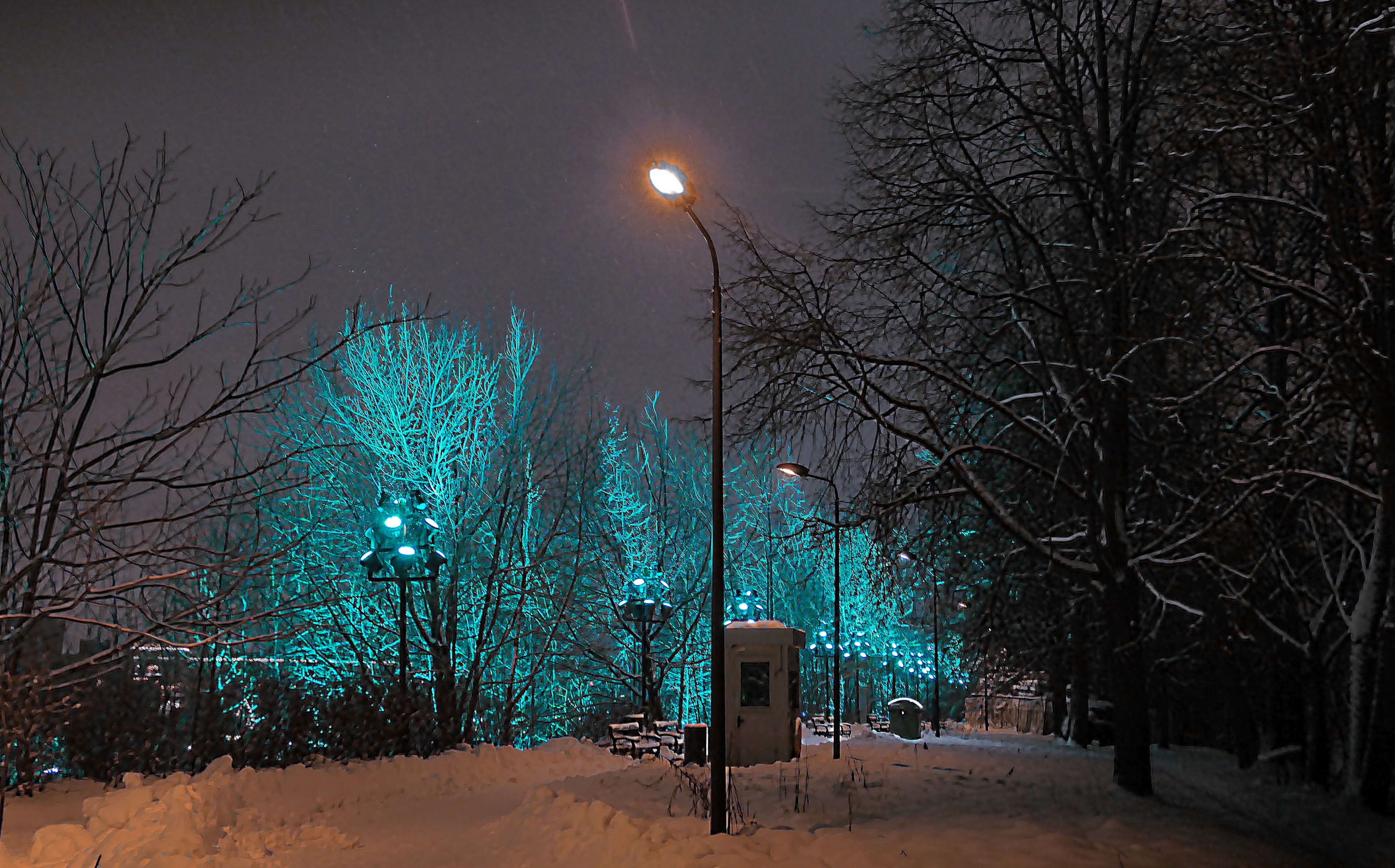 Деревья с подсветкой на Воробьёвых горах. Фото Морошкина В.В.