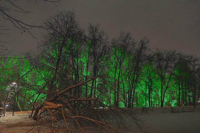 Пруд с подсвеченными деревьями на Воробьёвых горах. Фото Морошкина В.В.