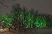 Пруд с подсвеченными деревьями на Воробьёвых горах. Фото Морошкина В.В.
