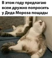 рад5