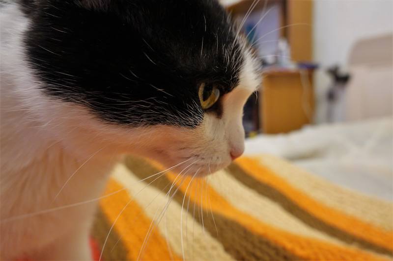 С-Петербург