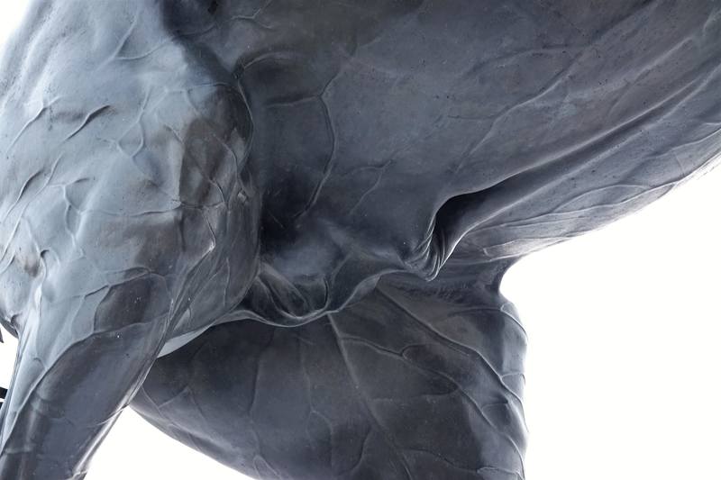 Аничков мост