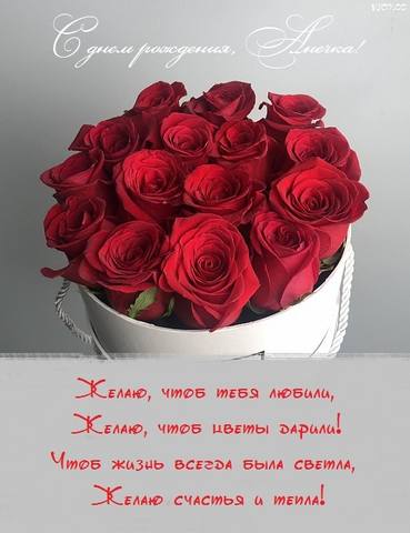 Tapтaлeтки & Ко