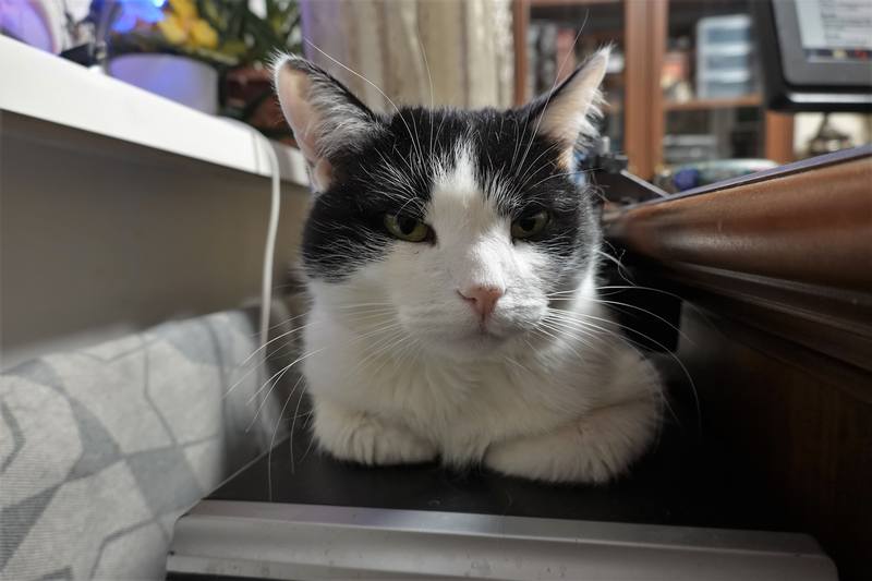 Ресторан BBQ на Просвещения