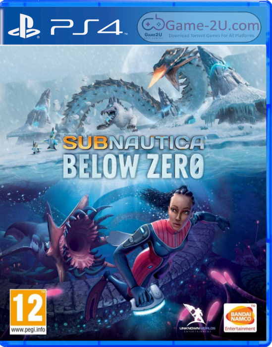 Subnautica: Below Zero PS4 PKG