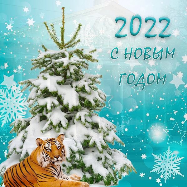 С НГ 2022