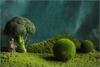 VFL.RU - ваш фотохостинг