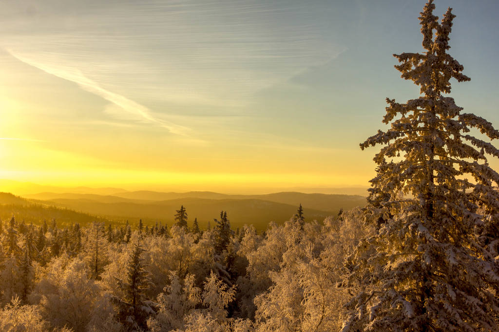 VFL.RU - ваш фотохостинг VFL.RU - ваш фотохостинг