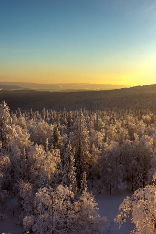 VFL.RU - ваш фотохостинг VFL.RU - ваш фотохостинг