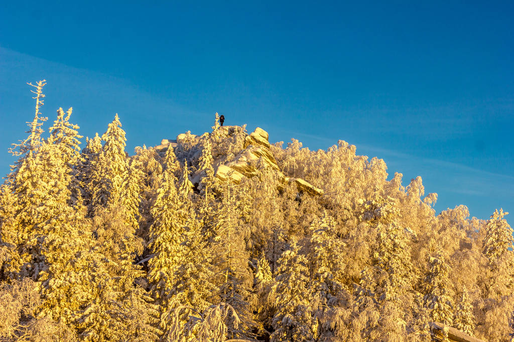 VFL.RU - ваш фотохостинг VFL.RU - ваш фотохостинг