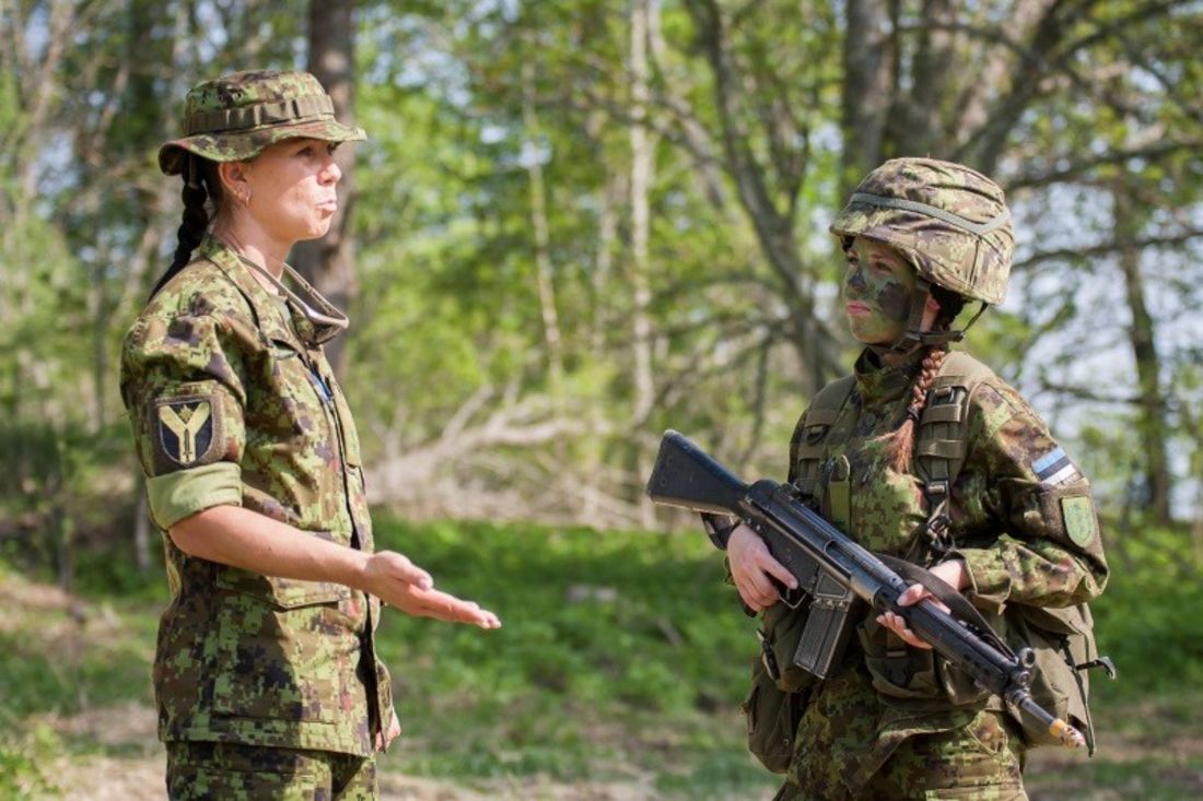 Вс эстонии. Эстонская Военная форма. Эстонский солдат. Солдаты Эстонии. Эстонская армия.