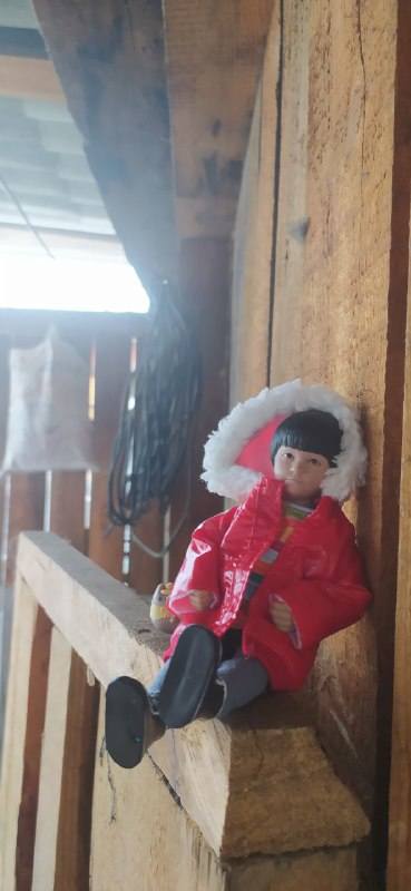 VFL.RU - ваш фотохостинг VFL.RU - ваш фотохостинг