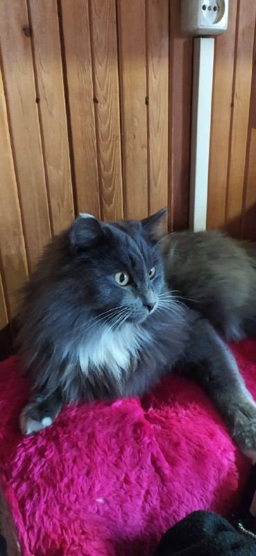 VFL.RU - ваш фотохостинг VFL.RU - ваш фотохостинг