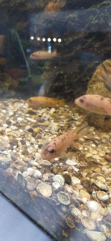 VFL.RU - ваш фотохостинг VFL.RU - ваш фотохостинг