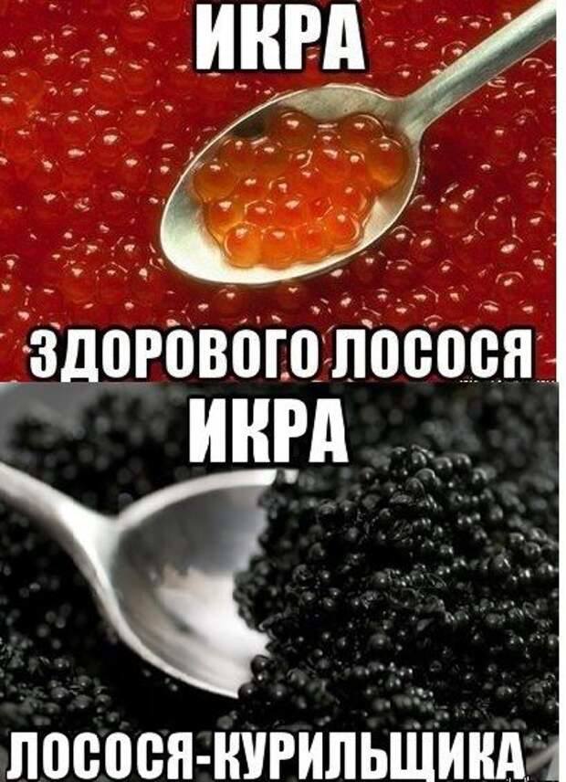 Бутерброд с икрой