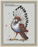 Sparrow Indian0