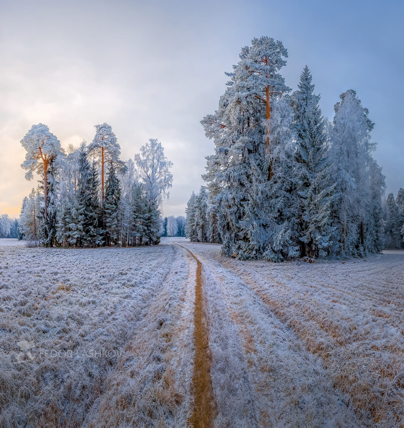 фото Ф.Лашкова2