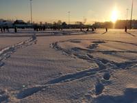 VFL.RU - ваш фотохостинг