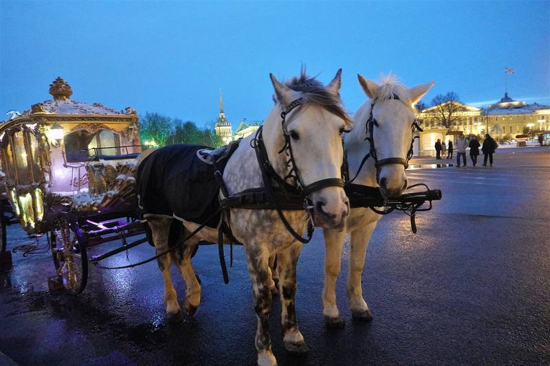 Санкт-Петербург