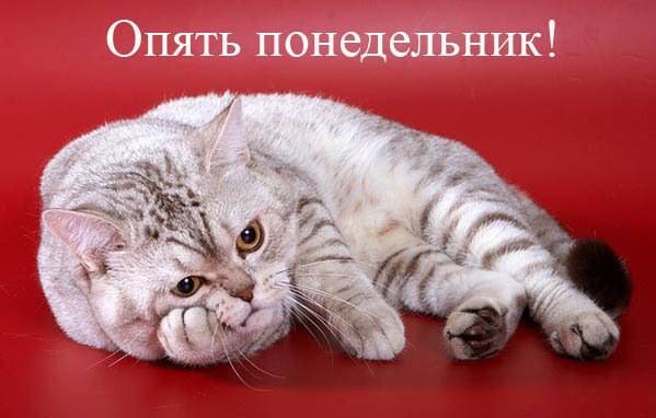 VFL.RU -  