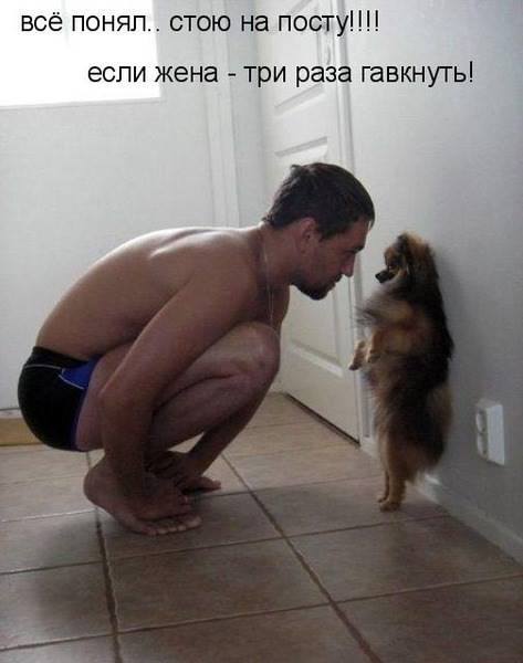 VFL.RU -  