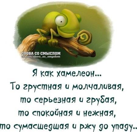 VFL.RU -  