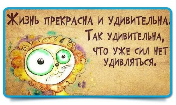 VFL.RU -  