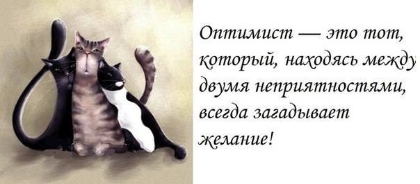 VFL.RU -  