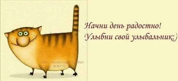 VFL.RU -  