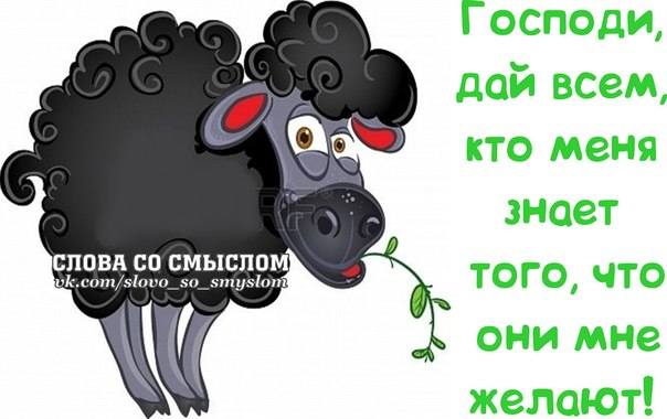 VFL.RU -  