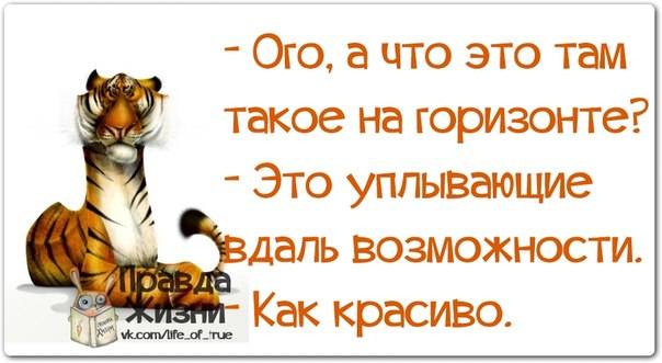VFL.RU -  