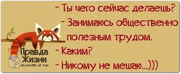 VFL.RU -  
