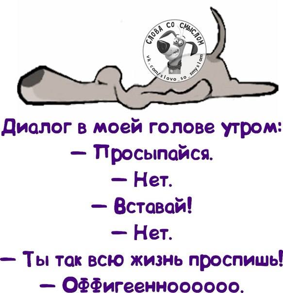 VFL.RU -  