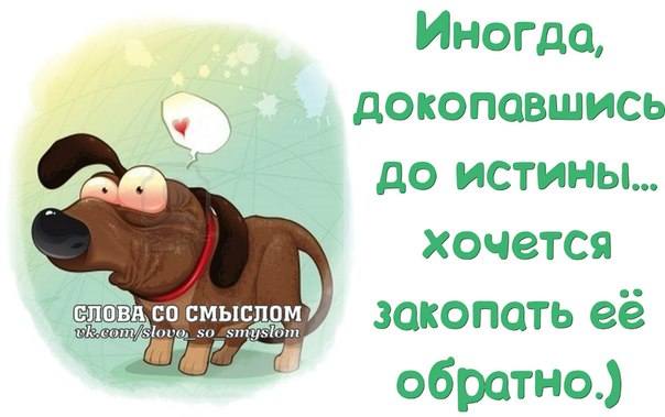 VFL.RU -  